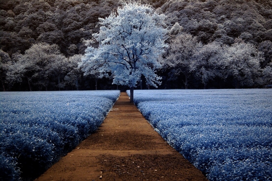 梦景 - djr50 - 图虫摄影网