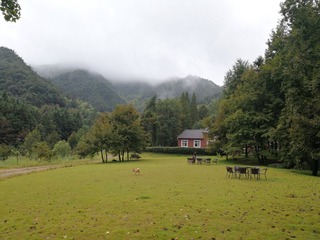 1690636