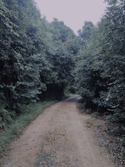 1690644