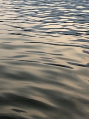 1000107560