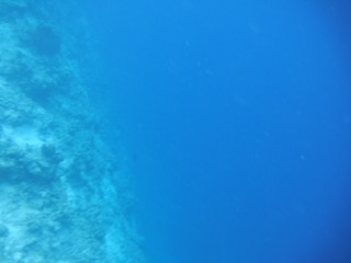 726030