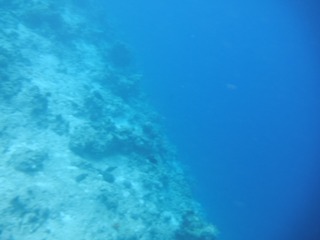 726031