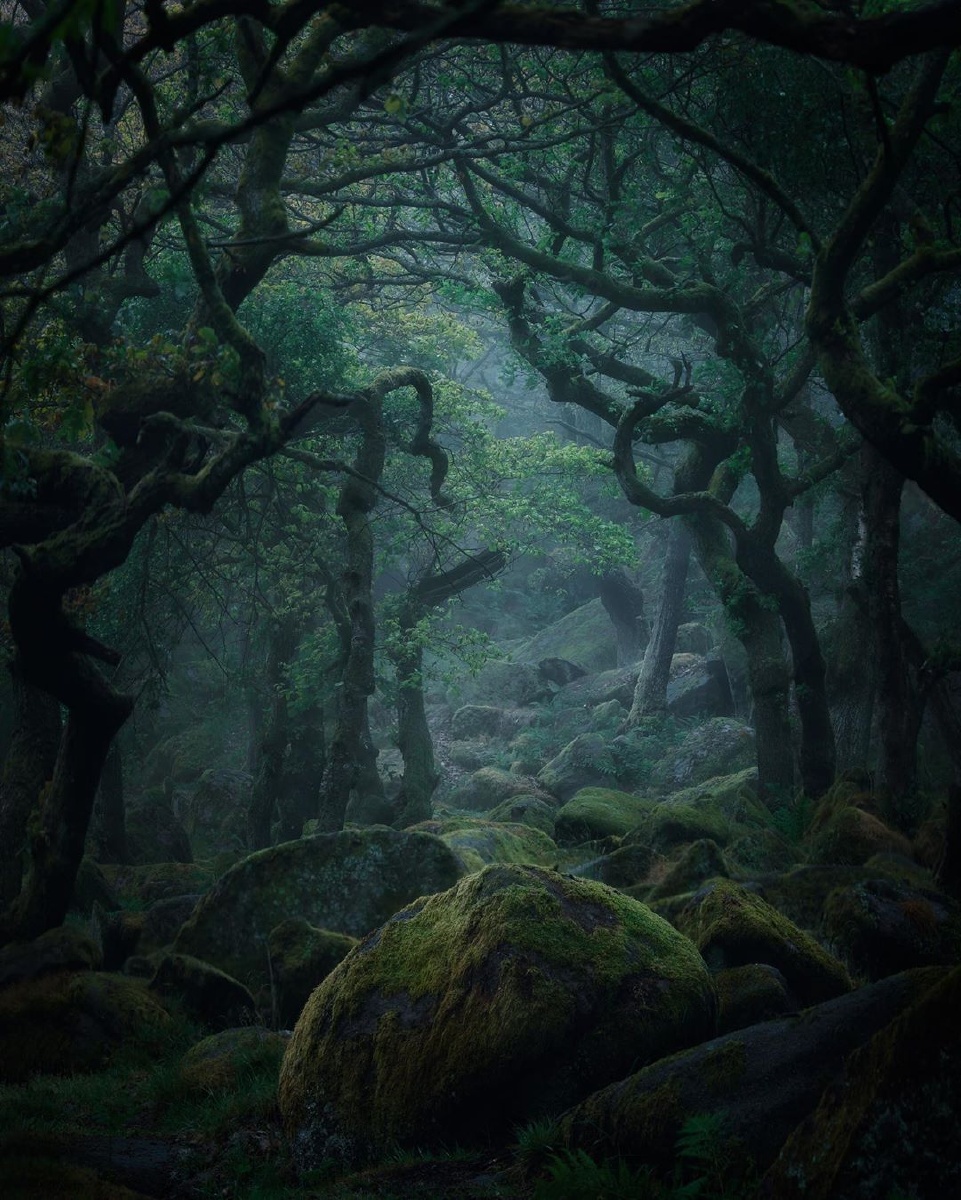 森林深处bymattbeach676767