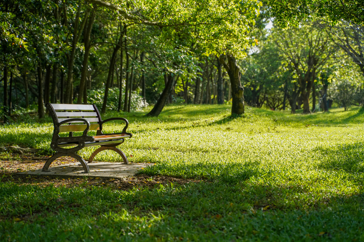 深圳莲花山公园的一个僻静角落