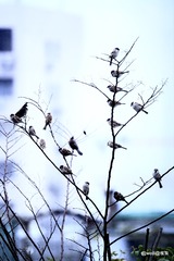 B3746E19-0D39-475E-ADD5-F92F1593C2EF/L0/001