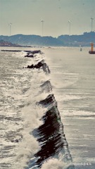 935C201A-A403-4F68-A780-65EC11734075/L0/001