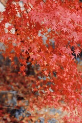 2F80C5DA-B39C-47CE-9E37-8AF0E33DC13F/L0/001