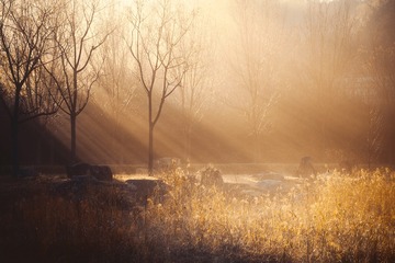 4F2D9899-6F85-465E-973A-9FF392477E8B/L0/001