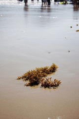 IMG_9635