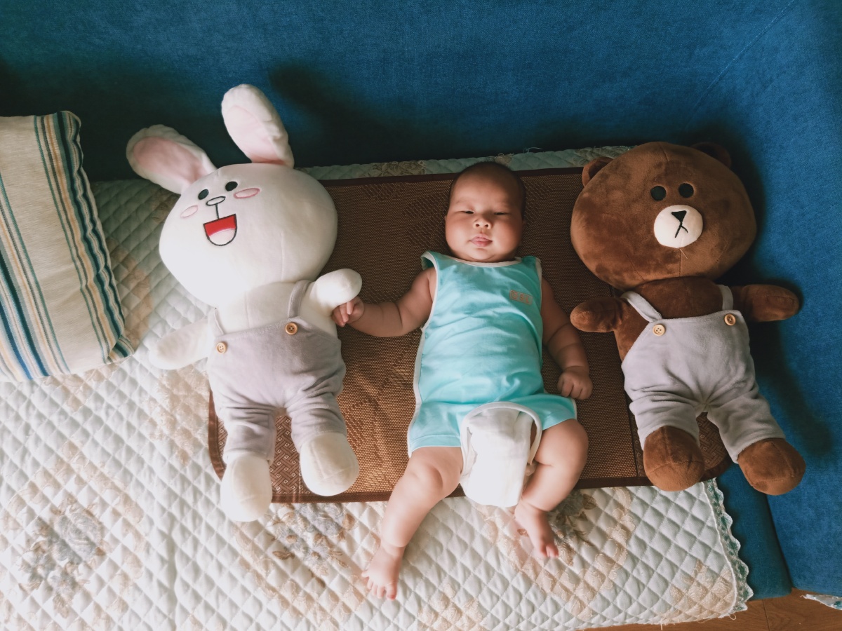 我拿青春喂了狗