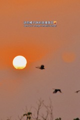 9AF116FB-7F5D-4C16-9308-9424CD0139DF/L0/001