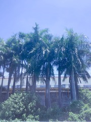 38C31D96-33FA-4E12-BD32-9A49FBFD2069/L0/001
