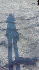 534