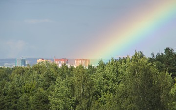 176460
