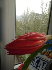 98