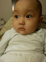 1401667