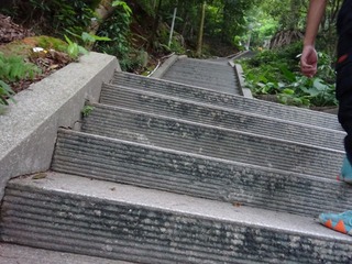 46548