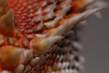 280486