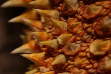 280485