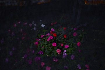 576C571F-FAA0-46A2-AB88-409D7C4A3C1E/L0/001
