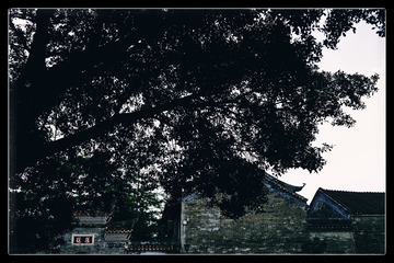 E555954C-5F84-44CE-BED6-5DBB03067D43/L0/001