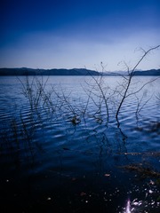 9C6D1EE8-48F9-47DB-A709-10D4EC88C712/L0/001