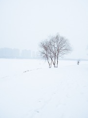 BA2AECBB-03A8-4854-A07A-040364F33AF7/L0/001