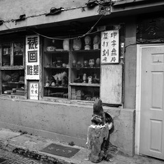 Old Chinese store