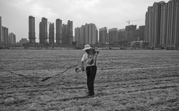放风筝