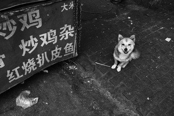 来尝尝？