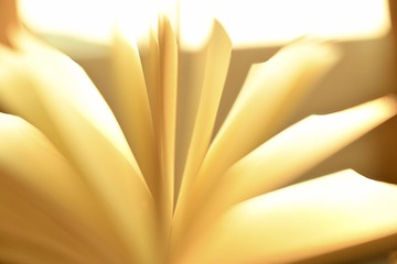 508125