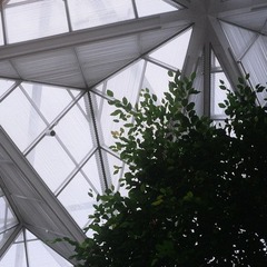 屋顶