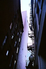 97740019