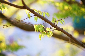 窗外