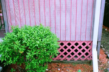 corner