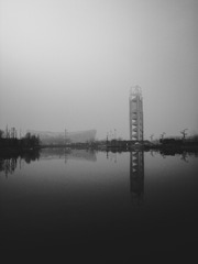 2311198