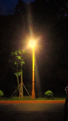 43522FEB-0F1A-490C-A4C0-37120527BF79/L0/001