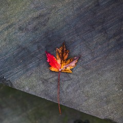 E9123542-65C3-4D54-91D6-E3CD44F123B8/L0/001