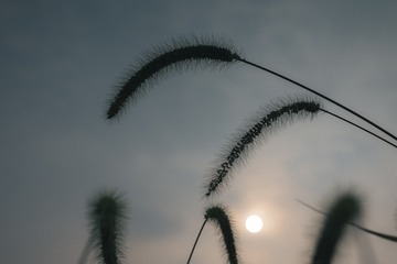 EA1BC9FE-D966-4FCD-99BC-5E73161813D8/L0/001