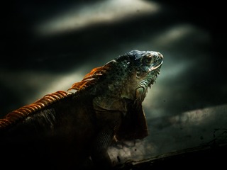 164578