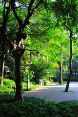 5857FA97-BEE9-42BA-837B-C1E74D219E01/L0/001