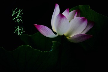 001