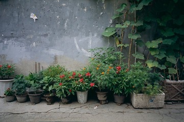 Untitled-14