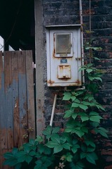 Untitled-16