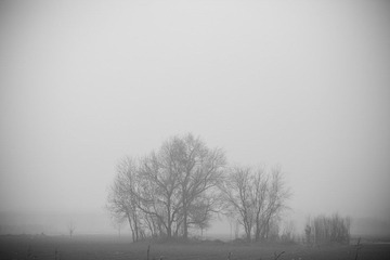 IMG_8306.jpg
