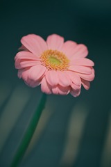 102849