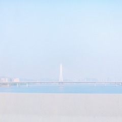 315876