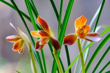 6B80ABDE-4F5E-45F8-A2C1-971F0C8C92EF/L0/001