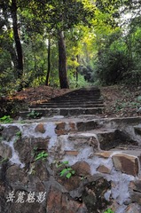 岳麓魅影