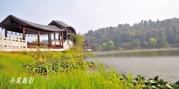 岳麓魅影